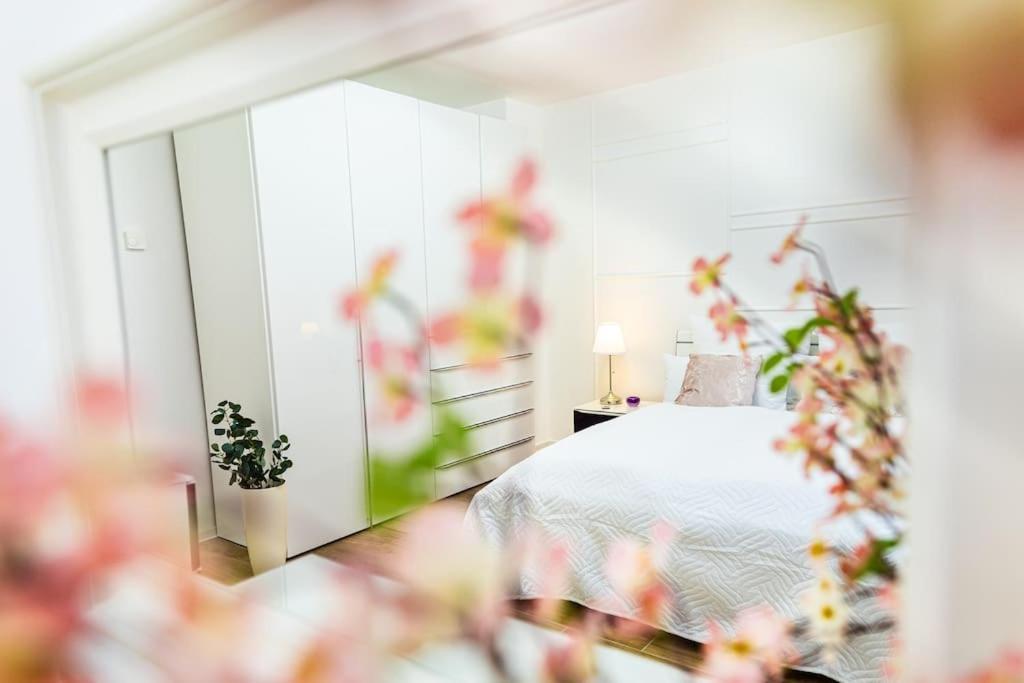 Charmante Wohnung In Koblenzer Innenstadt 코블렌츠 외부 사진